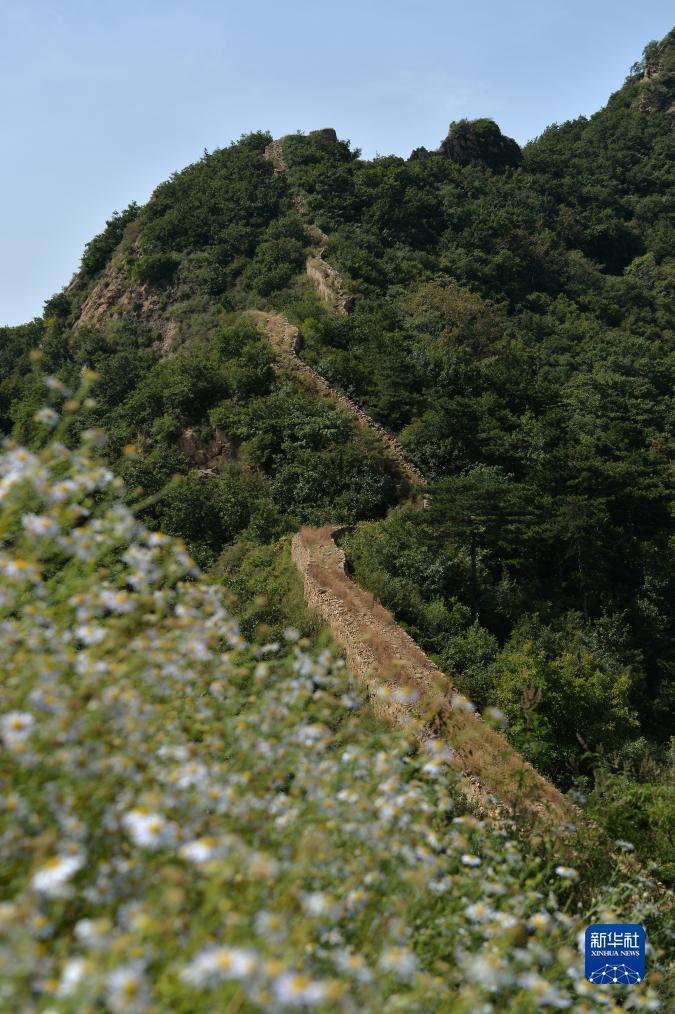 电子传奇游戏